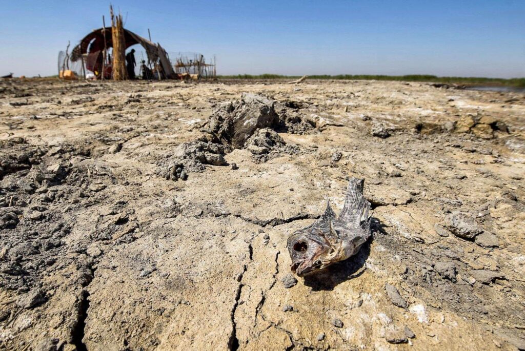 تقرير: التغير المناخي مسؤول عن الجفاف الحاد في العراق وسوريا وإيران