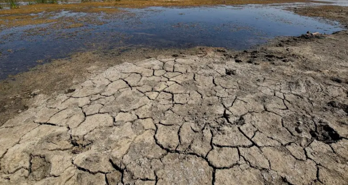 الموارد تحذر من جفاف قادم يهدد  الزراعة الشتوية