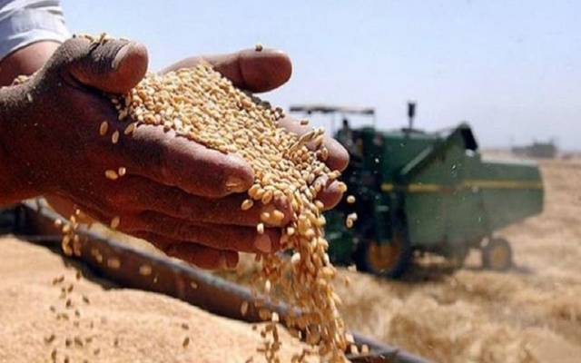 Officials of a company affiliated with the Ministry of Commerce are involved in theft of Australian wheat