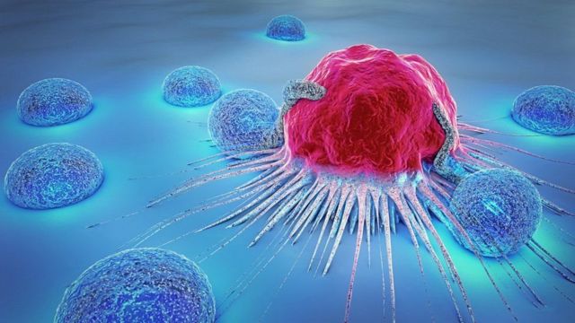 باحثون يتوصلون الى طريقة للقضاء على المواد الكيميائية المسببة للسرطان