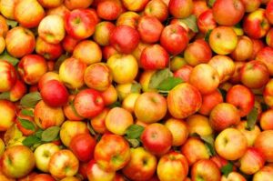 لبنان تقترح تصدير التفاح إلى العراق مقابل الوقود