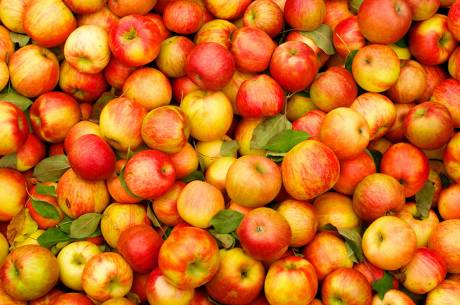 لبنان تقترح تصدير التفاح إلى العراق مقابل الوقود
