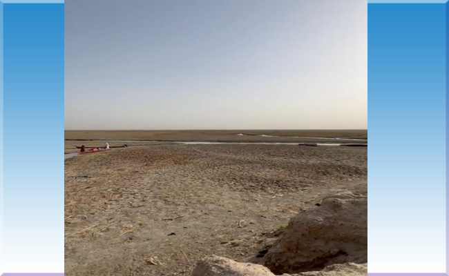 بالفيديو.. مشهد يوثق جفاف الاهوار في العراق