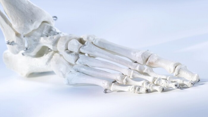 علماء يبتكرون مادة تسرع عملية إصلاح العظام المتضررة