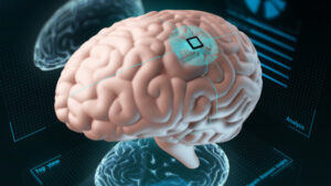 علماء يحولون خلايا دماغية بشرية إلى حواسيب تعمل بشكل جماعي