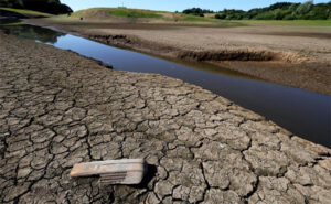 منظمة بيئية عالمية: الشرق الأوسط على وشك الهاوية بسبب الجفاف وموجات الحر