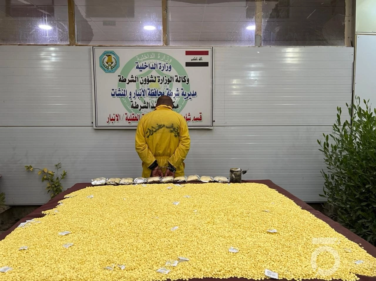 مملكة الكبتاغون ترسخ حدودها بين سوريا والعراق ولبنان.. والسعودية المستهلك الأول