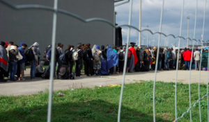 شبكة هجرة غير شرعية تضم عراقيين تستقدم اللاجئين الى ألمانيا
