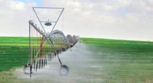 العراق يعتزم زراعة 5 ملايين طن من الحنطة باستخدام تقنيات الري الحديث