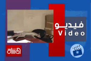 شاهد.. حصيني يقتحم غرف الموظفين في مبنى وزارة النفط