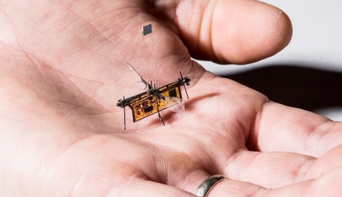 علماء يطورون ذكاء اصطناعي على شكل حشرات يتعقب الروائح