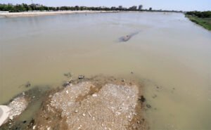 بالصور.. انخفاض منسوب مياه نهر دجلة في بغداد