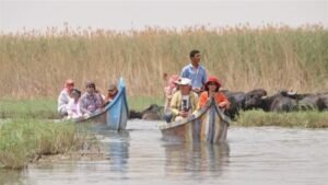 أهوار العراق: بين جاذبية السياحة الأجنبية وتهديدات الجفاف  