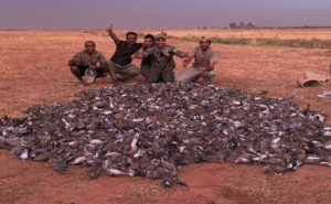 التنوع البيئي مهدّد في العراق بسبب الصيد الجائر