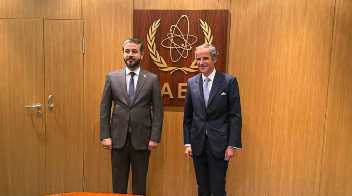 مدير وكالة الطاقة الذرية يرغب بزيارة العراق