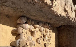 اكتشاف نبيذ محفوظ منذ 5000 سنة في مصر