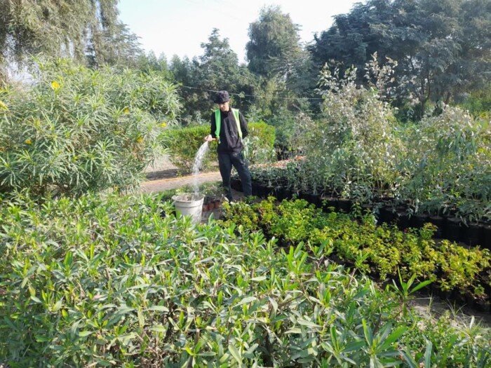 أمانة بغداد تركز على تطوير الواقع الخدمي في المناطق المحرومة