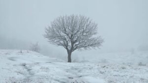 عاصفة هائلة تلغي نحو 11400 رحلة جوية في أميركا