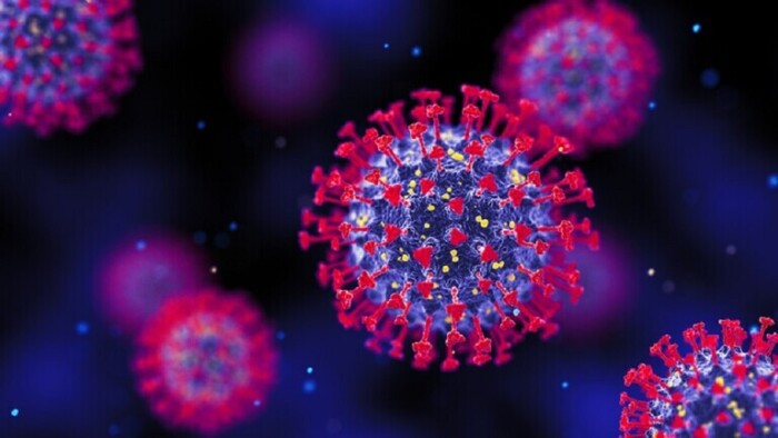 الصحة العالمية: الفيروس التاجي المستجد مستمر في التحور