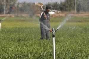 العراق يوسّع رقعته الزراعية.. لكن النجاح مرتبط بتوفر المياه