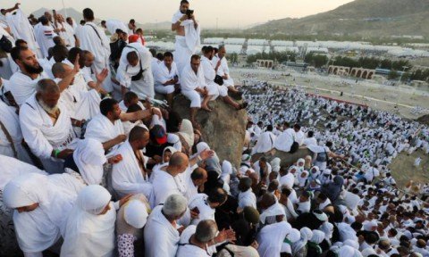 الحجّاج يؤدون الركن الأعظم للحجّ على جبل عرفات تحت شمس حارقة