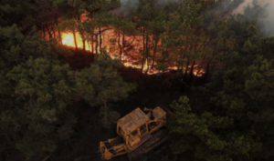 حرائق الساحل السوري: تنظيم متطرف يتبنى الكارثة من أجل تهجير العلويين