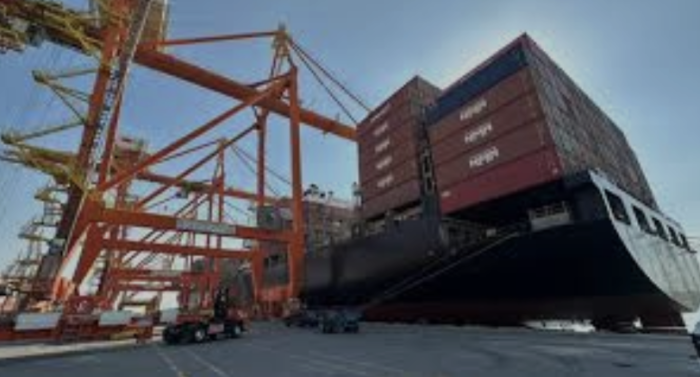 عامان للحصول على إجازة استثمارية وشبكات نفوذ تتحكم بالمخلصين الجمركيين