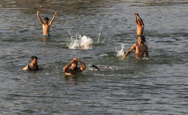 الفرات يحتضر بين الطحالب و زهرة النيل