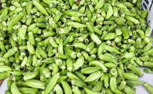 العراق ثامن دول العالم بإنتاج البامية