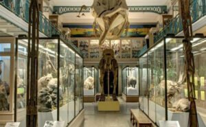 قبل اللوفر… سرقات ضخمة طالت متاحف عالمية في العقود الأخيرة