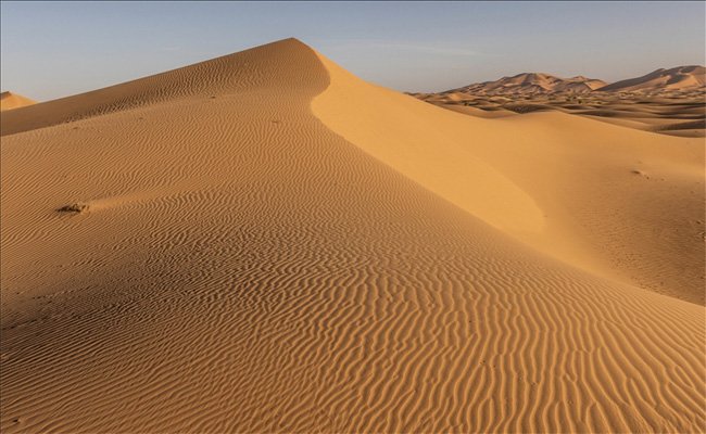 العراق يواجه أزمة تصحر تهدد 55 % من أراضيه بحلول 2026