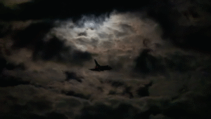 هجوم بريطاني فرنسي على داعش في سوريا