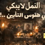 النملُ لا يبكي في طقوس التأبين..!